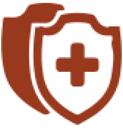 Payers icon health shield